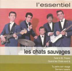 Les Chats Sauvages : L'Essentiel